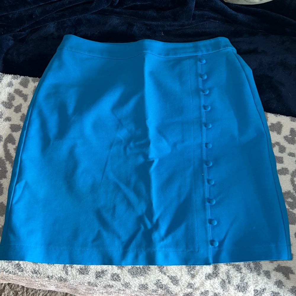 Ann Taylor Loft skirt